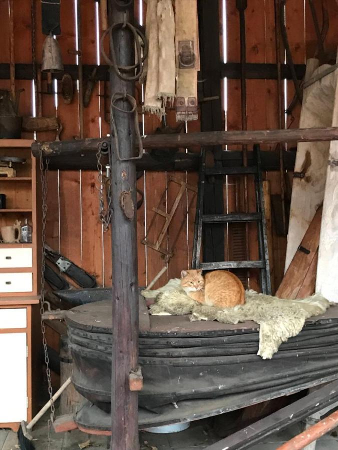 Chalupa Helena na Poráči Esterno foto