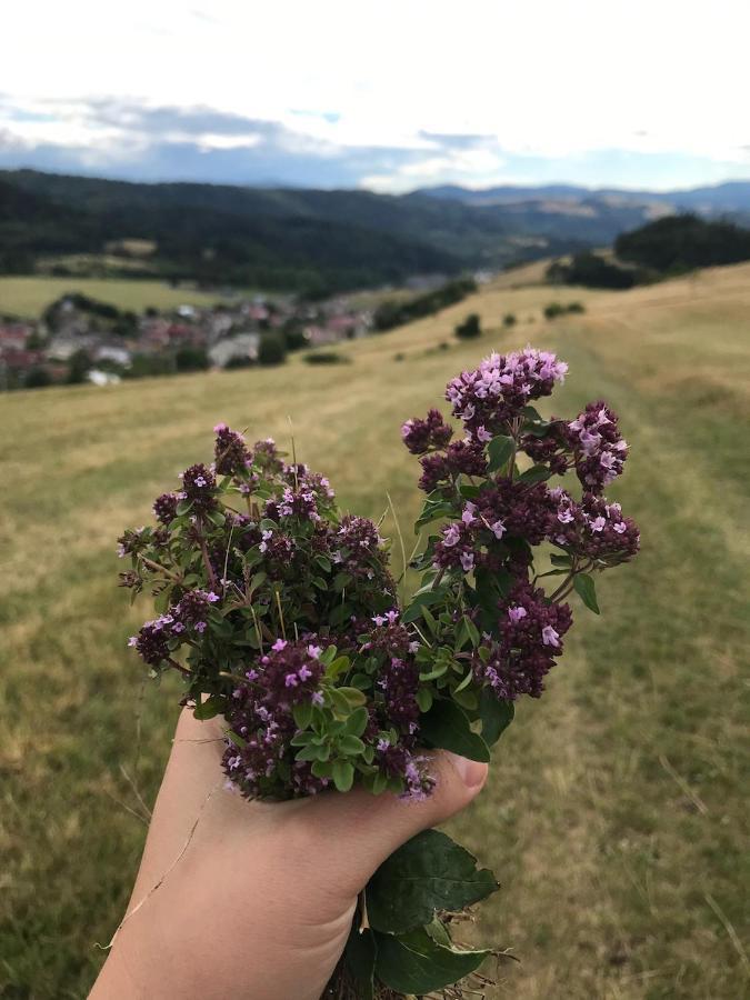 Chalupa Helena na Poráči Esterno foto